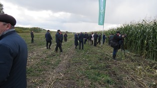 Демонстрационные посевы СПК Красный пахарь 2019