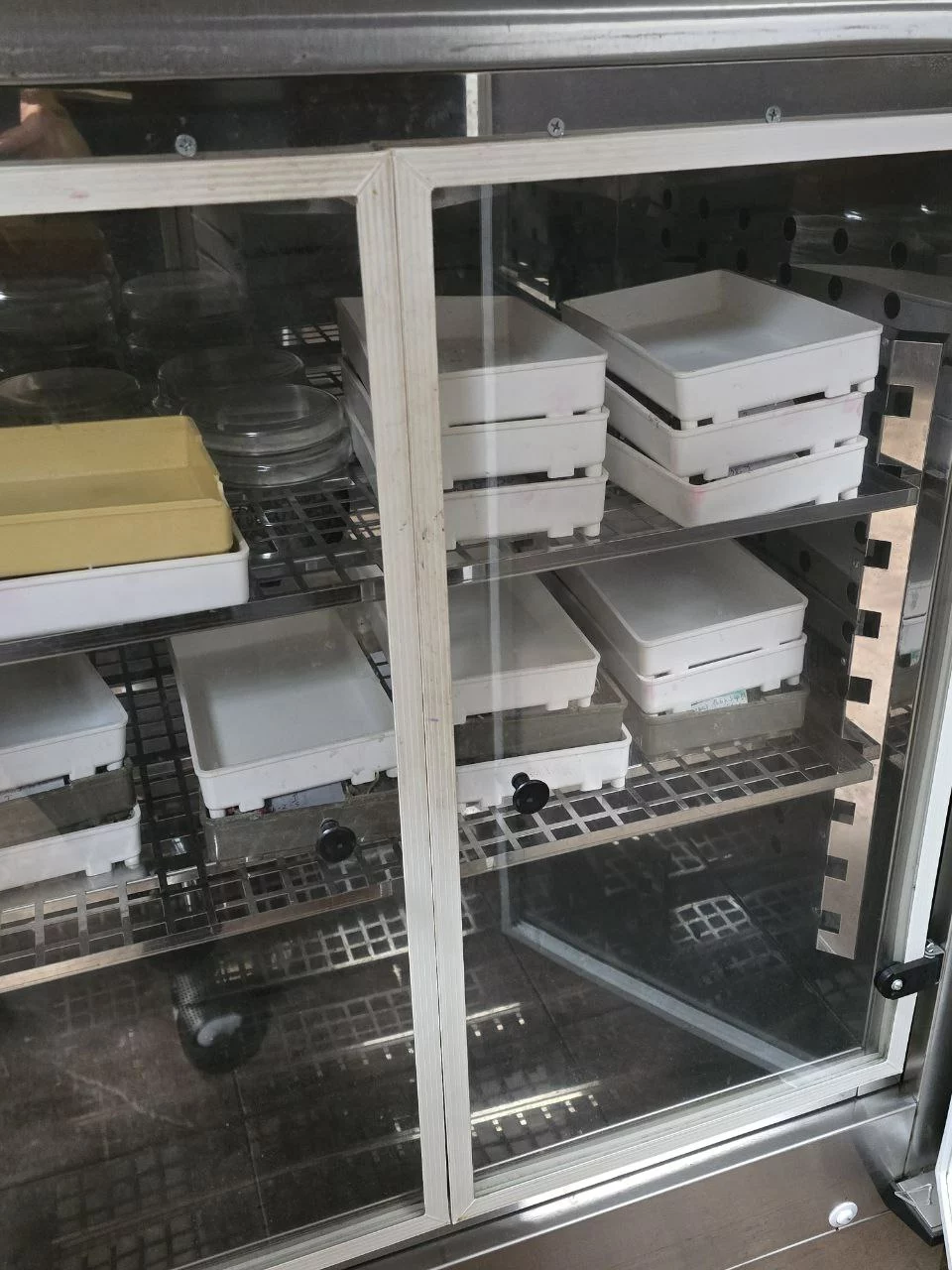 Термостат с растильнями для определения всхожести и энергии прорастания семян по ГОСТ 12038-84